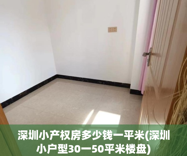 深圳小产权房多少钱一平米(深圳小户型30一50平米楼盘) 深圳小产权房多少钱一平米(深圳小户型30一50平米楼盘)