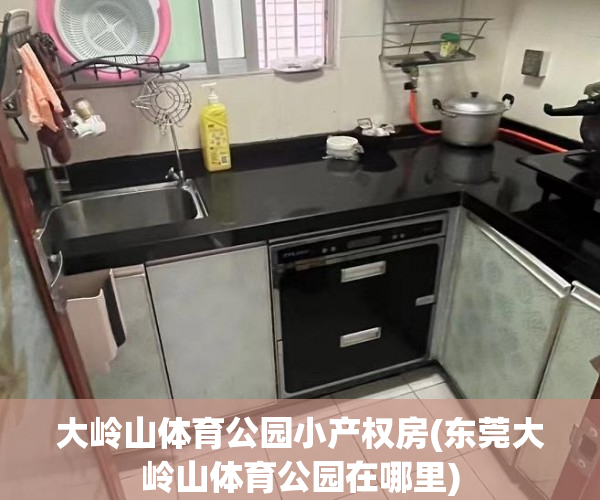 大岭山体育公园小产权房(东莞大岭山体育公园在哪里) 大岭山体育公园小产权房(东莞大岭山体育公园在哪里)