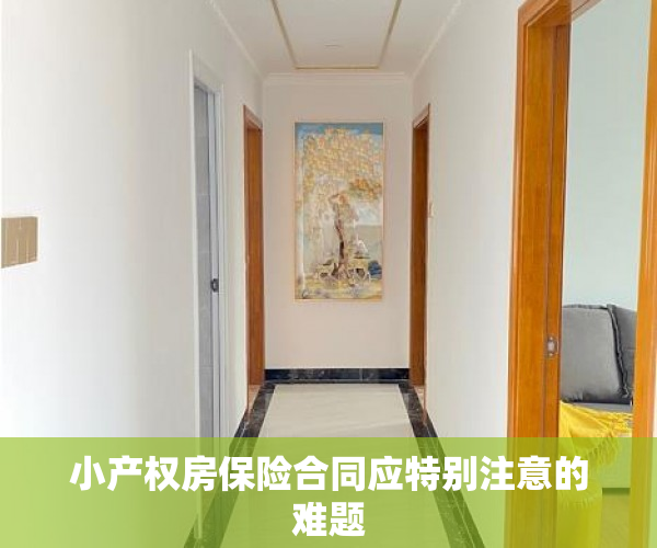 小产权房保险合同应特别注意的难题