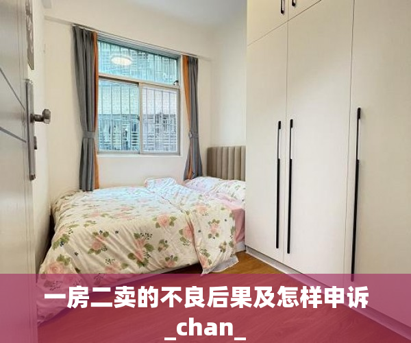一房二卖的不良后果及怎样申诉_chan_