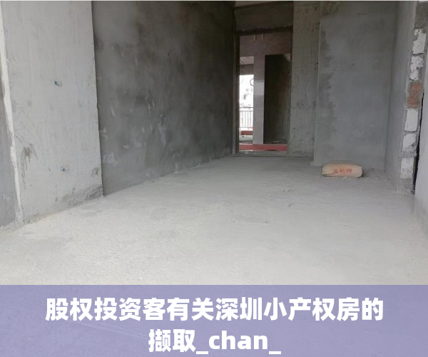 股权投资客有关深圳小产权房的撷取_chan_