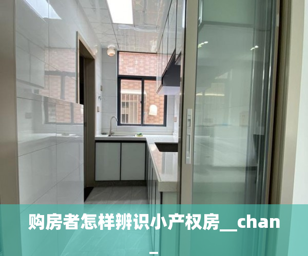 购房者怎样辨识小产权房__chan_