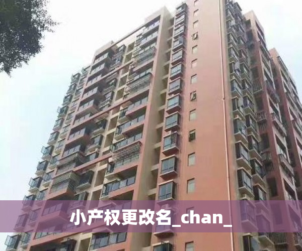 小产权更改名_chan_