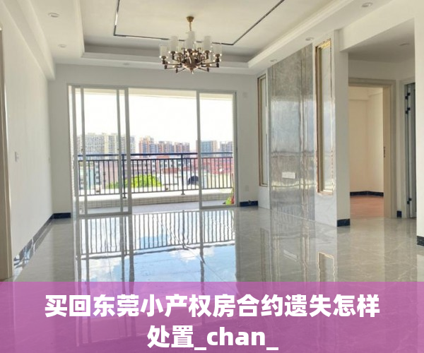 买回东莞小产权房合约遗失怎样处置_chan_