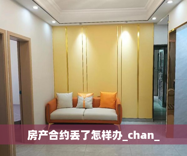 房产合约丢了怎样办_chan_
