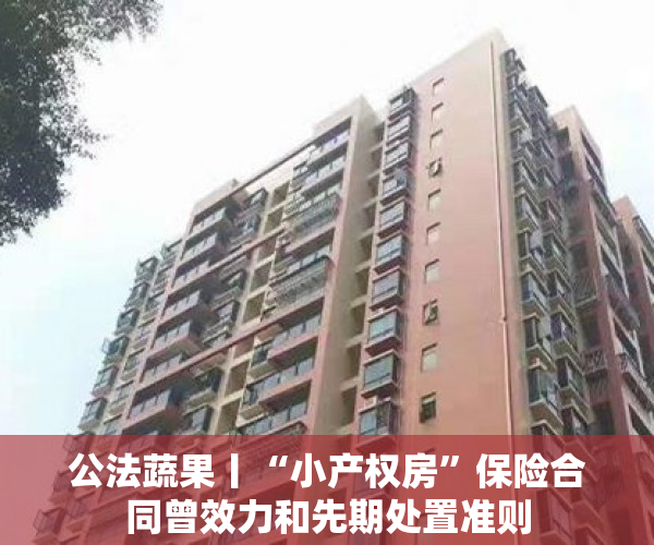 公法蔬果丨“小产权房”保险合同曾效力和先期处置准则
