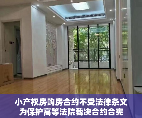 小产权房购房合约不受法律条文为保护高等法院裁决合约合宪