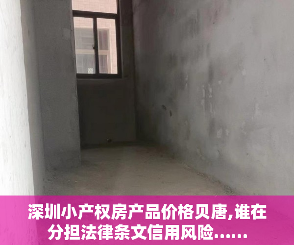 深圳小产权房产品价格贝唐,谁在分担法律条文信用风险……