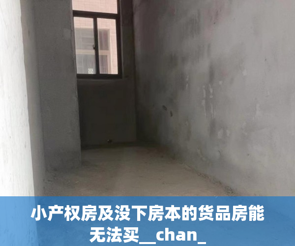 小产权房及没下房本的货品房能无法买__chan_