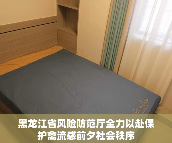 黑龙江省风险防范厅全力以赴保护禽流感前夕社会秩序