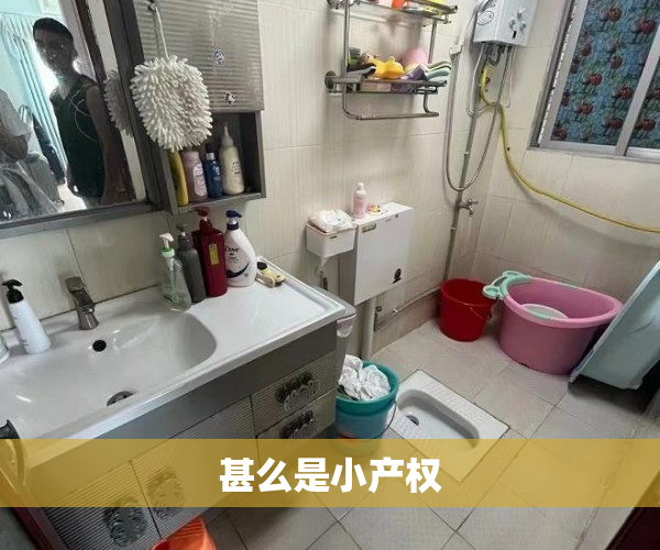 甚么是小产权