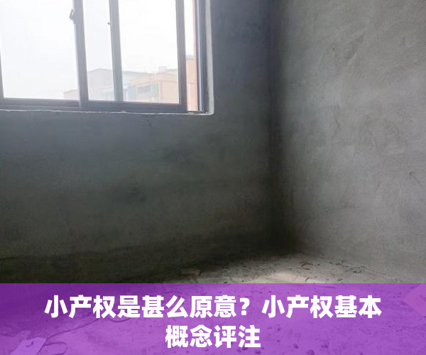 小产权是甚么原意？小产权基本概念评注