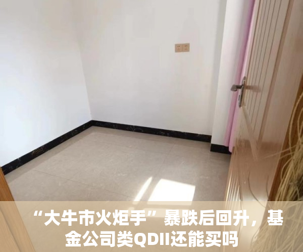 “大牛市火炬手”暴跌后回升，基金公司类QDII还能买吗