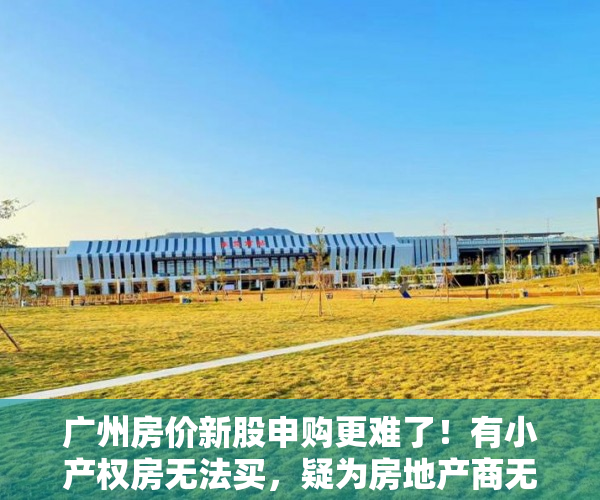 广州房价新股申购更难了！有小产权房无法买，疑为房地产商无法买…