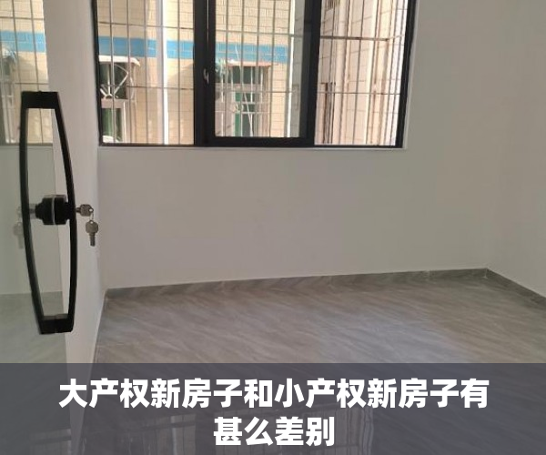 大产权新房子和小产权新房子有甚么差别