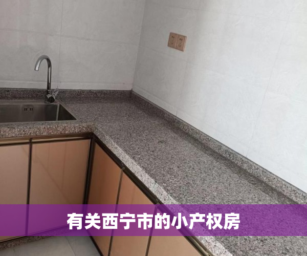 有关西宁市的小产权房