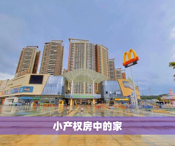小产权房中的家