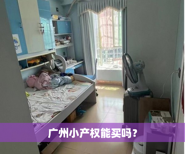 广州小产权能买吗？
