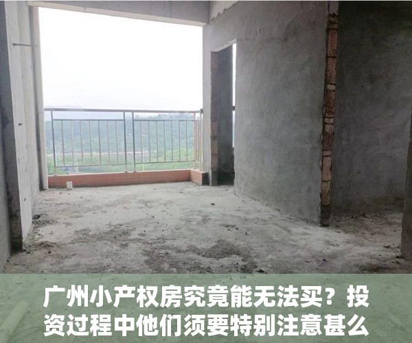 广州小产权房究竟能无法买？投资过程中他们须要特别注意甚么？