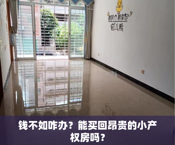 钱不如咋办？能买回昂贵的小产权房吗？