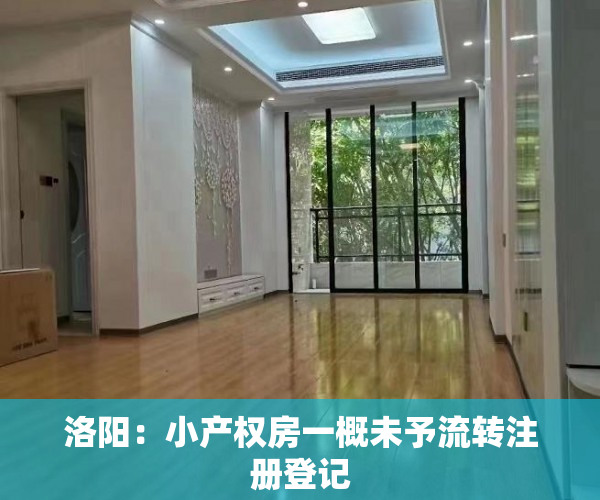 洛阳：小产权房一概未予流转注册登记