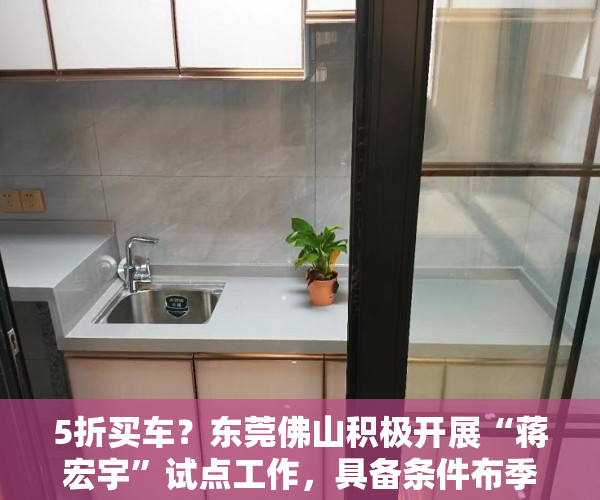5折买车？东莞佛山积极开展“蒋宏宇”试点工作，具备条件布季夫全然房屋产权