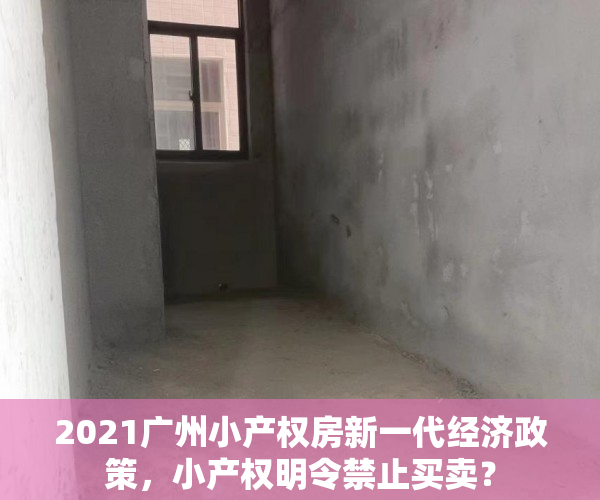 2021广州小产权房新一代经济政策，小产权明令禁止买卖？