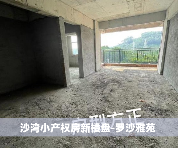 沙湾小产权房新楼盘-罗沙雅苑 