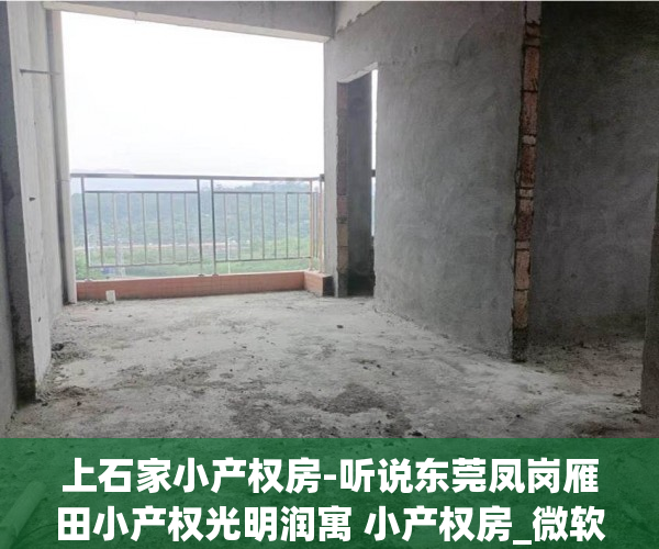 上石家小产权房-听说东莞凤岗雁田小产权光明润寓 小产权房_微软