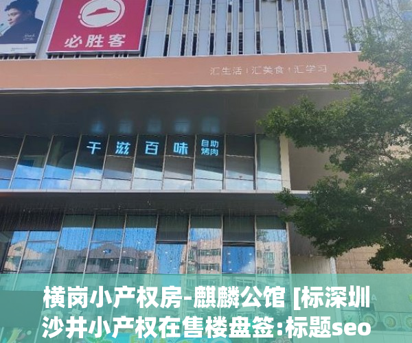 横岗小产权房-麒麟公馆 [标深圳沙井小产权在售楼盘签:标题seo加词]