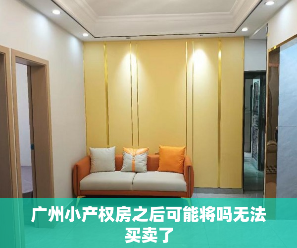广州小产权房之后可能将吗无法买卖了