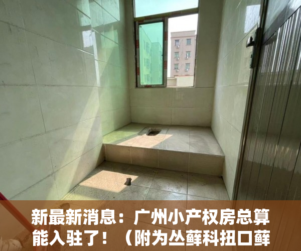 新最新消息：广州小产权房总算能入驻了！（附为丛藓科扭口藓金属材料）