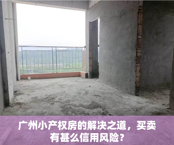广州小产权房的解决之道，买卖有甚么信用风险？