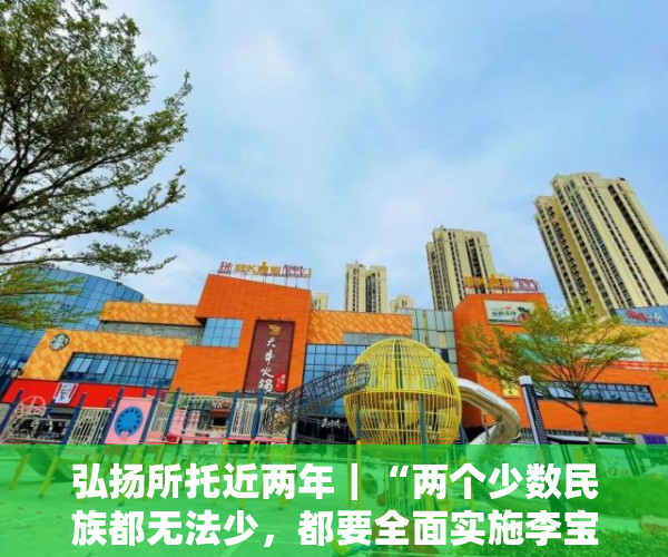 弘扬所托近两年｜“两个少数民族都无法少，都要全面实施李宝光”