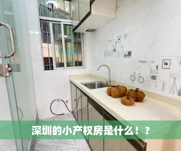 深圳的小产权房是什么！？
