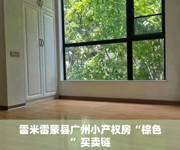 雷米雷蒙县广州小产权房“棕色”买卖链