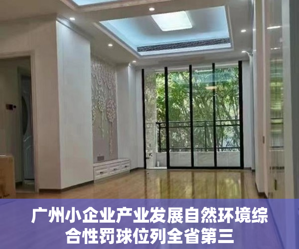 广州小企业产业发展自然环境综合性罚球位列全省第三
