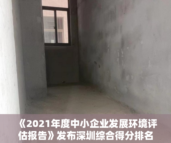 《2021年度中小企业发展环境评估报告》发布深圳综合得分排名第二