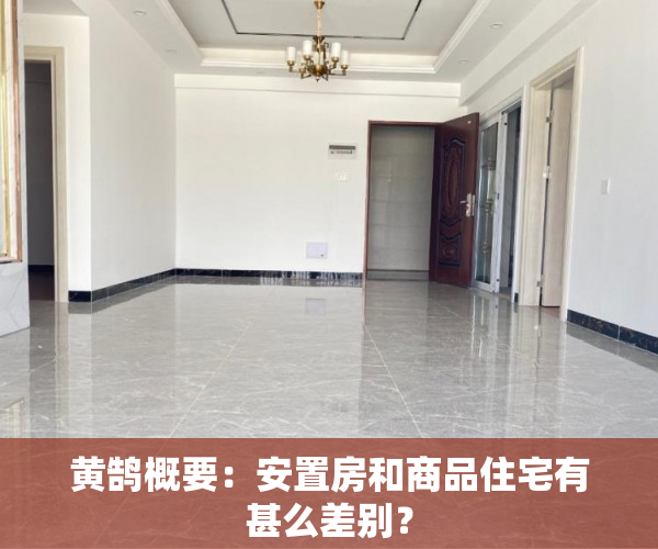 黄鹄概要：安置房和商品住宅有甚么差别？
