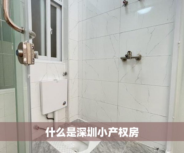 什么是深圳小产权房
