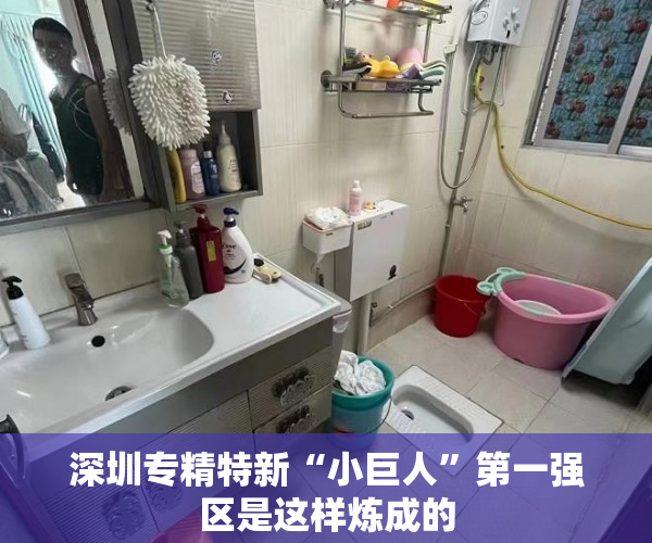 深圳专精特新“小巨人”第一强区是这样炼成的