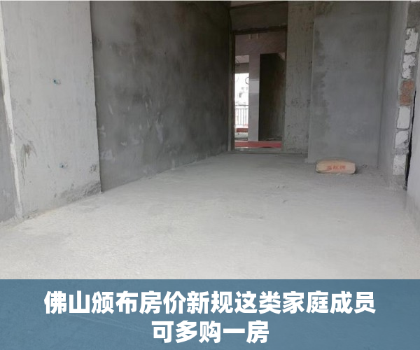 佛山颁布房价新规这类家庭成员可多购一房