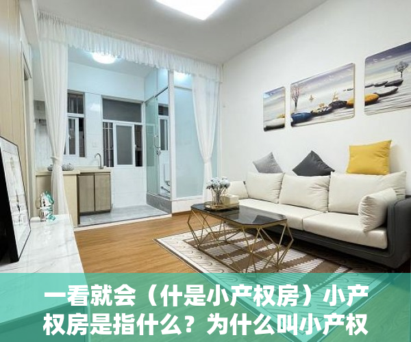 一看就会（什是小产权房）小产权房是指什么？为什么叫小产权？有大产权吗？，请问什么叫做小产权房子呢，