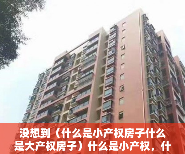 没想到（什么是小产权房子什么是大产权房子）什么是小产权，什么是房子的大产权,什么是小产权，