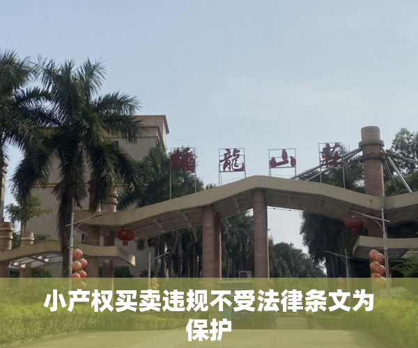 小产权买卖违规不受法律条文为保护