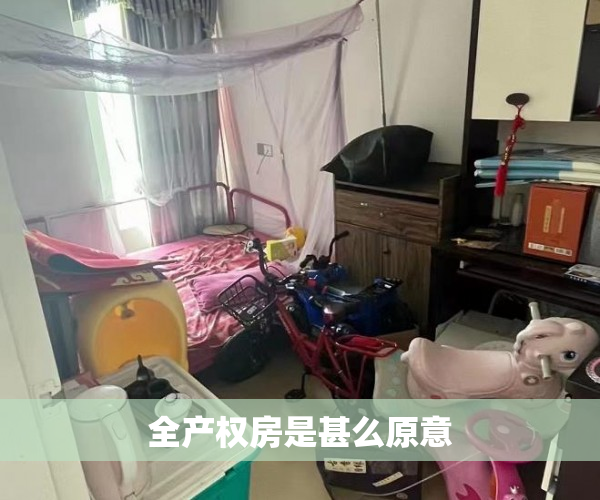 全产权房是甚么原意