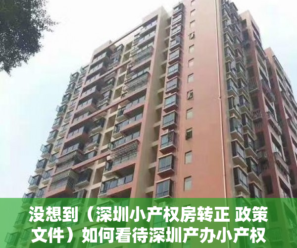 没想到（深圳小产权房转正 政策文件）如何看待深圳产办小产权房补缴50%地价可转正？，深圳小产权房转正 政策最新，