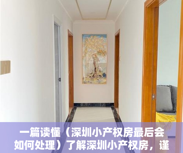 一篇读懂（深圳小产权房最后会如何处理）了解深圳小产权房，谨慎勿入，专家谈深圳小产权房的未来，