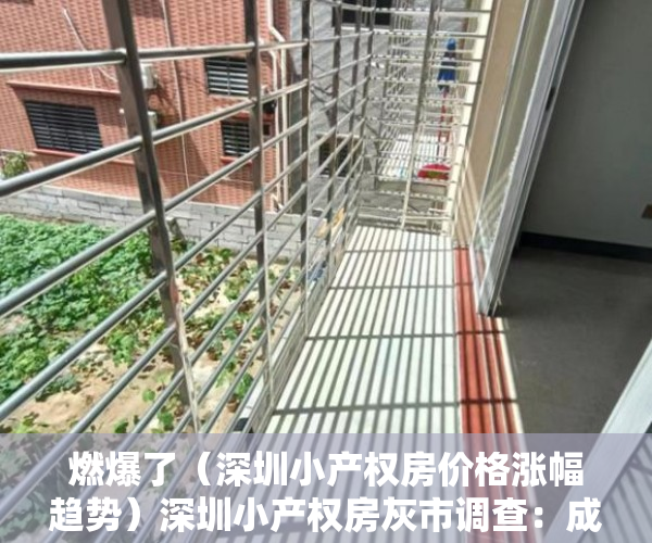 燃爆了（深圳小产权房价格涨幅趋势）深圳小产权房灰市调查：成交活跃价格跳涨，投资客险中求富，深圳小产权房涨幅最高达50%，