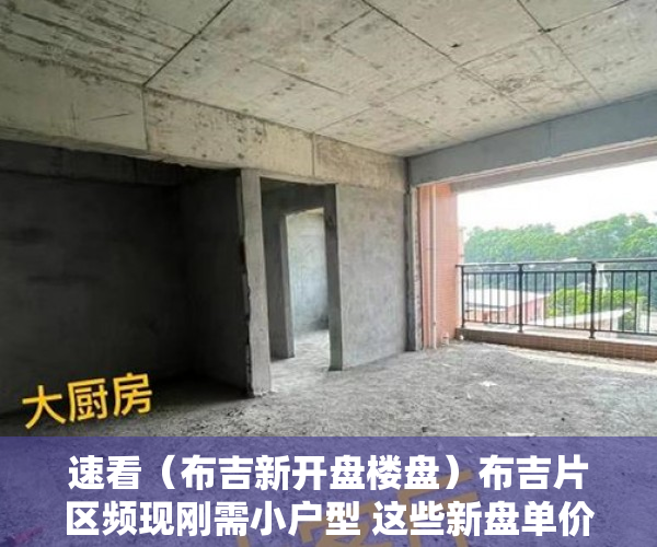 速看（布吉新开盘楼盘）布吉片区频现刚需小户型 这些新盘单价40000元平起，布吉高档楼盘，